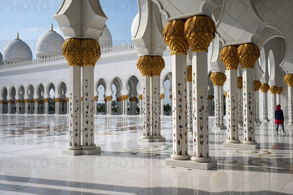 Sheikh Zayid Mosque