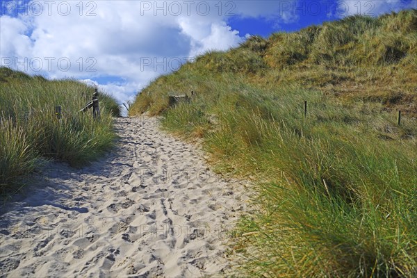 Access to the beach at the elbow