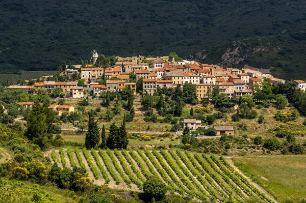 The village and Moulin d'Omer of Cucugnan