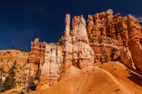 Navajo Loop Trail