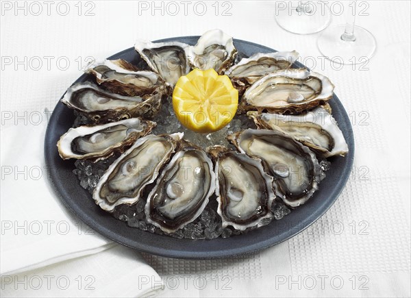 FRENCH OYSTER MARENNES D'OLERON ostrea edulis WITH YELLOW LEMON ON PLATE