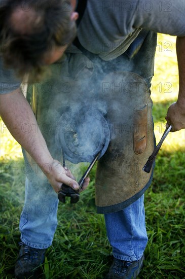 Blacksmith with a Percheron horse burning hot irons on the hoof