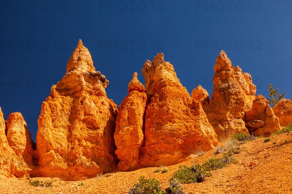 Navajo Loop Trail