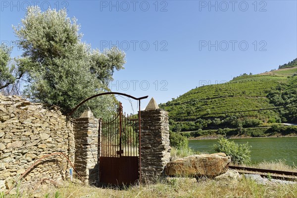 Ruinous house