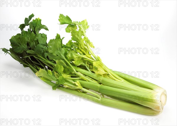 Celery