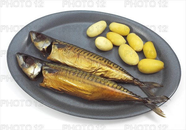 SMOKED MACKERL