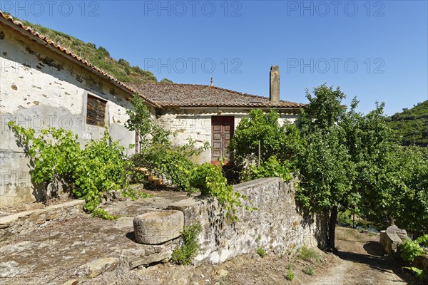 Ruinous house
