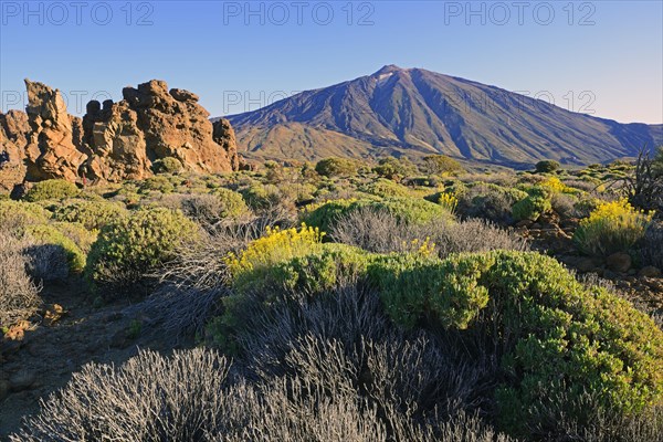 Roques de Garcia