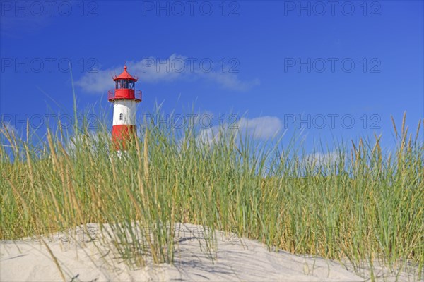 List West Lighthouse in the dunes at the elbow