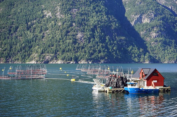 Maurangerfjord