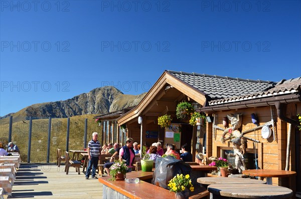 Alpine pasture