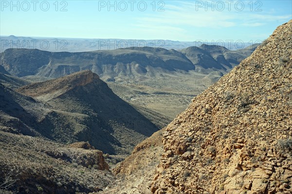 Landscape at the OliveTrail