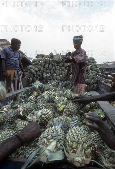 Unloading Pineapple at Koyambedu whole sale vegetable and fruit market is one of Asia's largest perishable goods market complex located in Chennai Madras