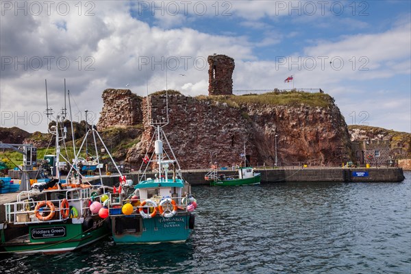 Harbour