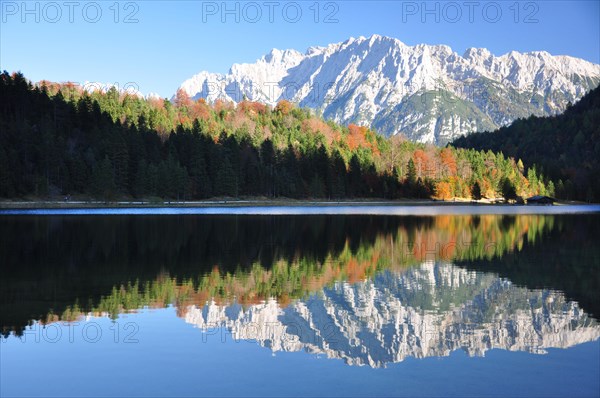 Autumn forest