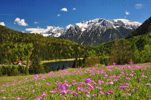 Mountain lake