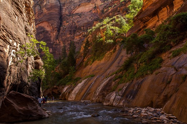 The Narrows