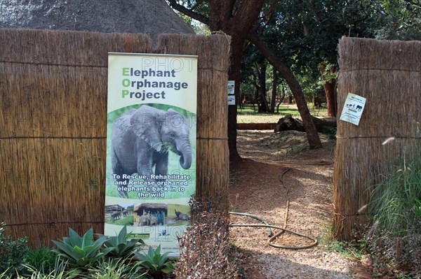 Elephant Orphanage