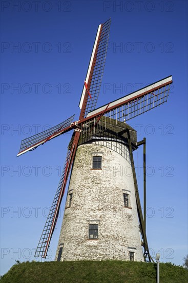 The Schellemolen