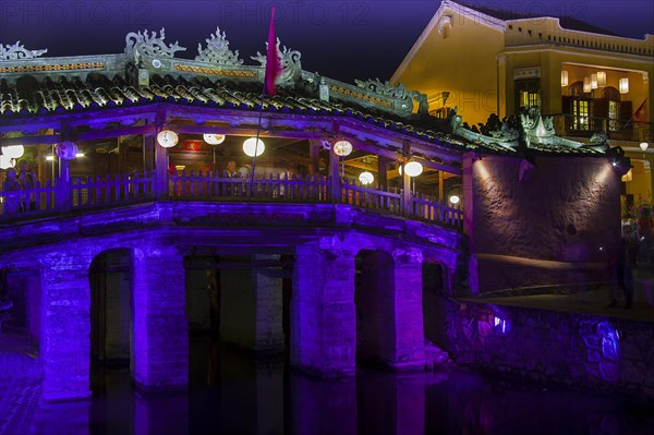 Japanese Bridge by night