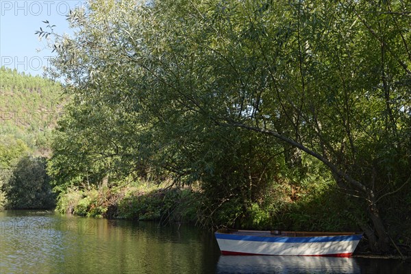 Small lake with rowing boat