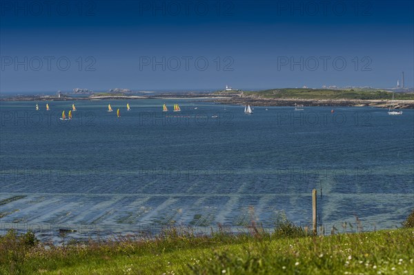 Sailing boats in the bay near Landeda