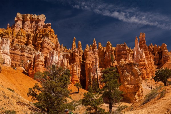 Navajo Loop Trail