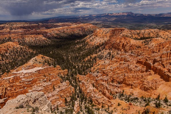 Bryce Point