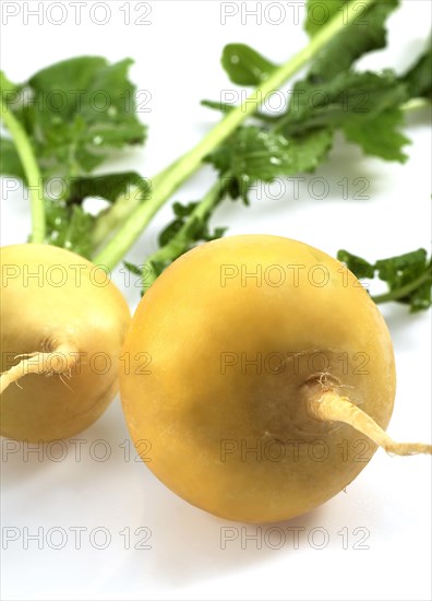 Golden Ball Turnip