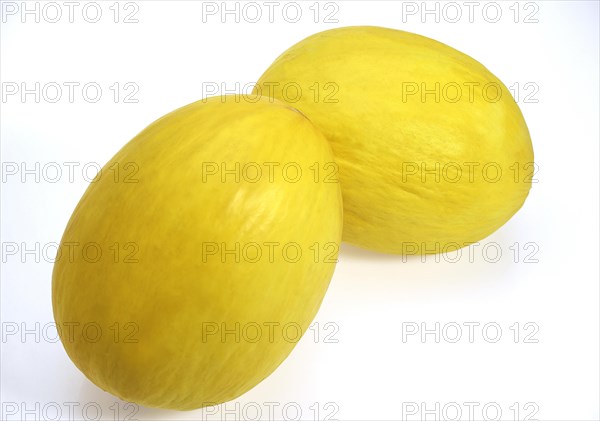 Yellow Spanish Melon