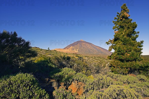 Pico del Teide Volcano