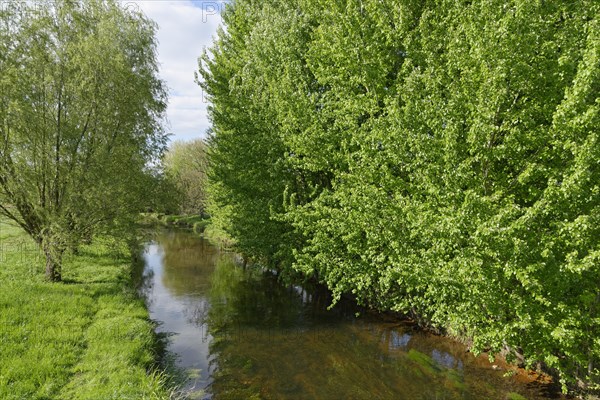 River Niers near Grefrath