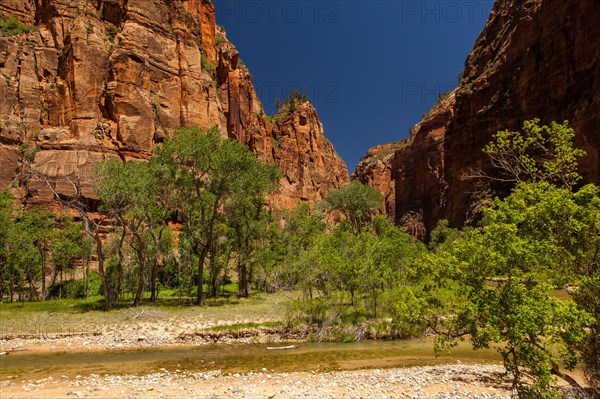 Zion Canyon