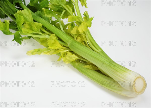 Celery