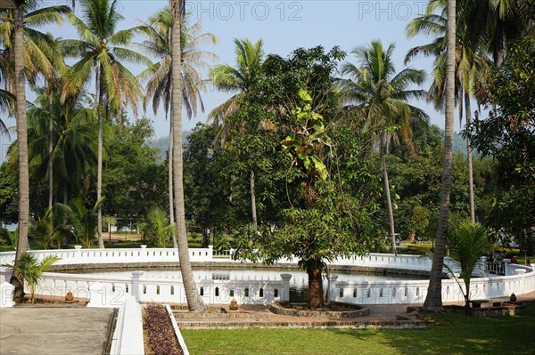 Lotus Pond