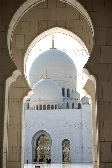 Sheikh Zayid Mosque