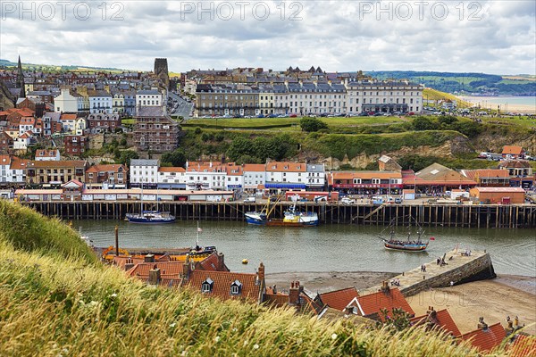 Village View Whitby on the River Esk