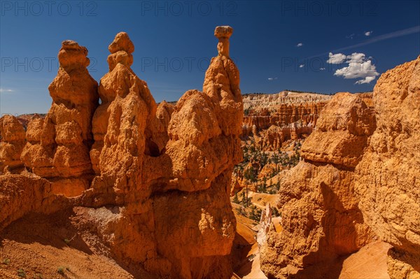 Navajo Loop Trail