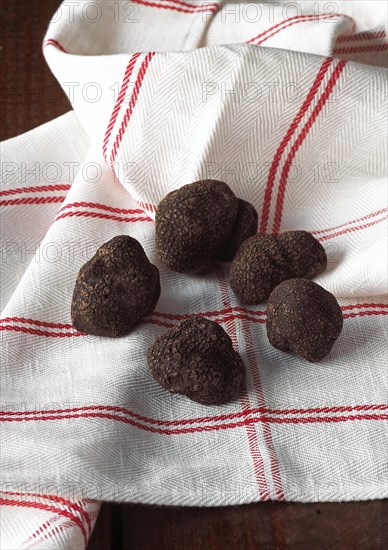 Perigord Truffle