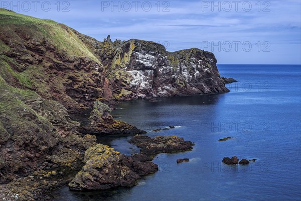 St Abb's Head