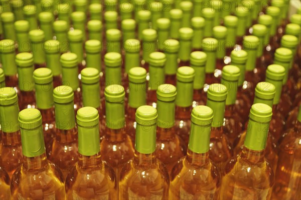 Fresh bottled white wine