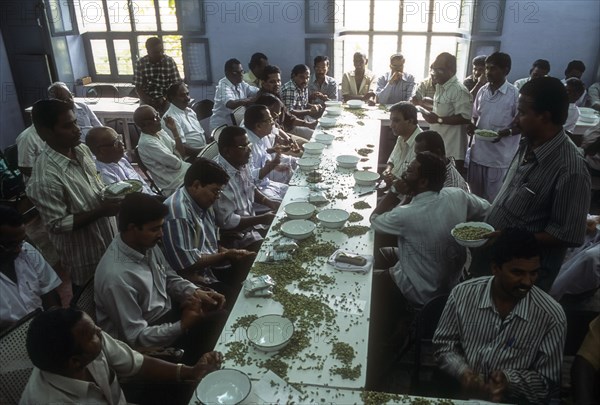 Cardamom auction centre at Bodinayakanur in Tamil Nadu