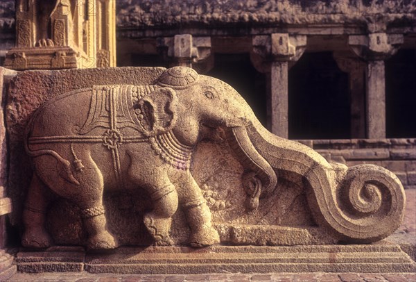 Elephant relief on the side of the stairs