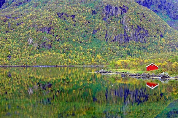 Red house by the fjord