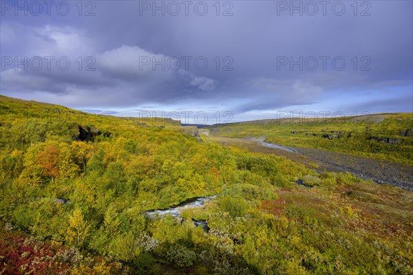 Colourful autumn colours