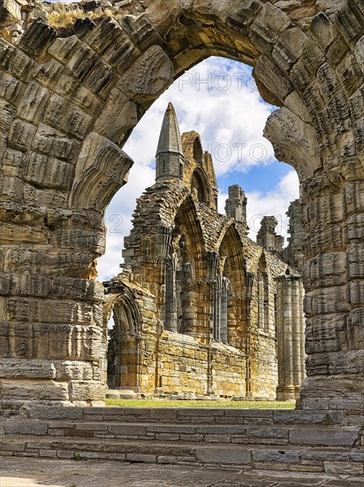 Ruins of Whitby Abbey Gothic Monastery