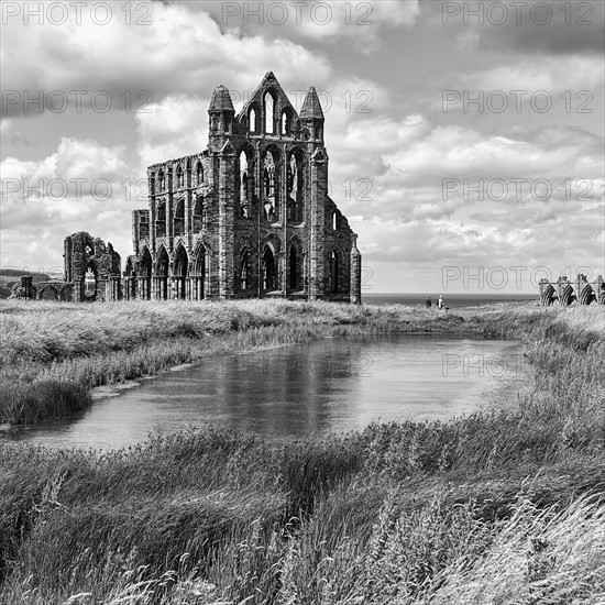 Ruins of Whitby Abbey Gothic Monastery