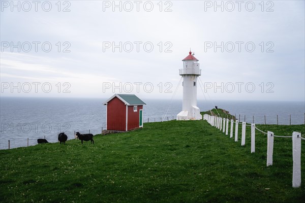 Akraberg Lighthouse with red hut and sheep