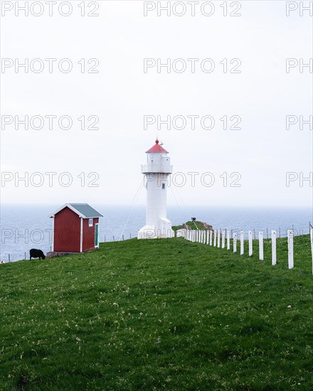 Akraberg Lighthouse with red hut and sheep