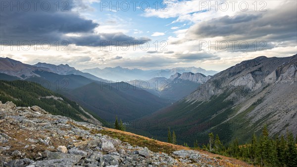 View into forested valley